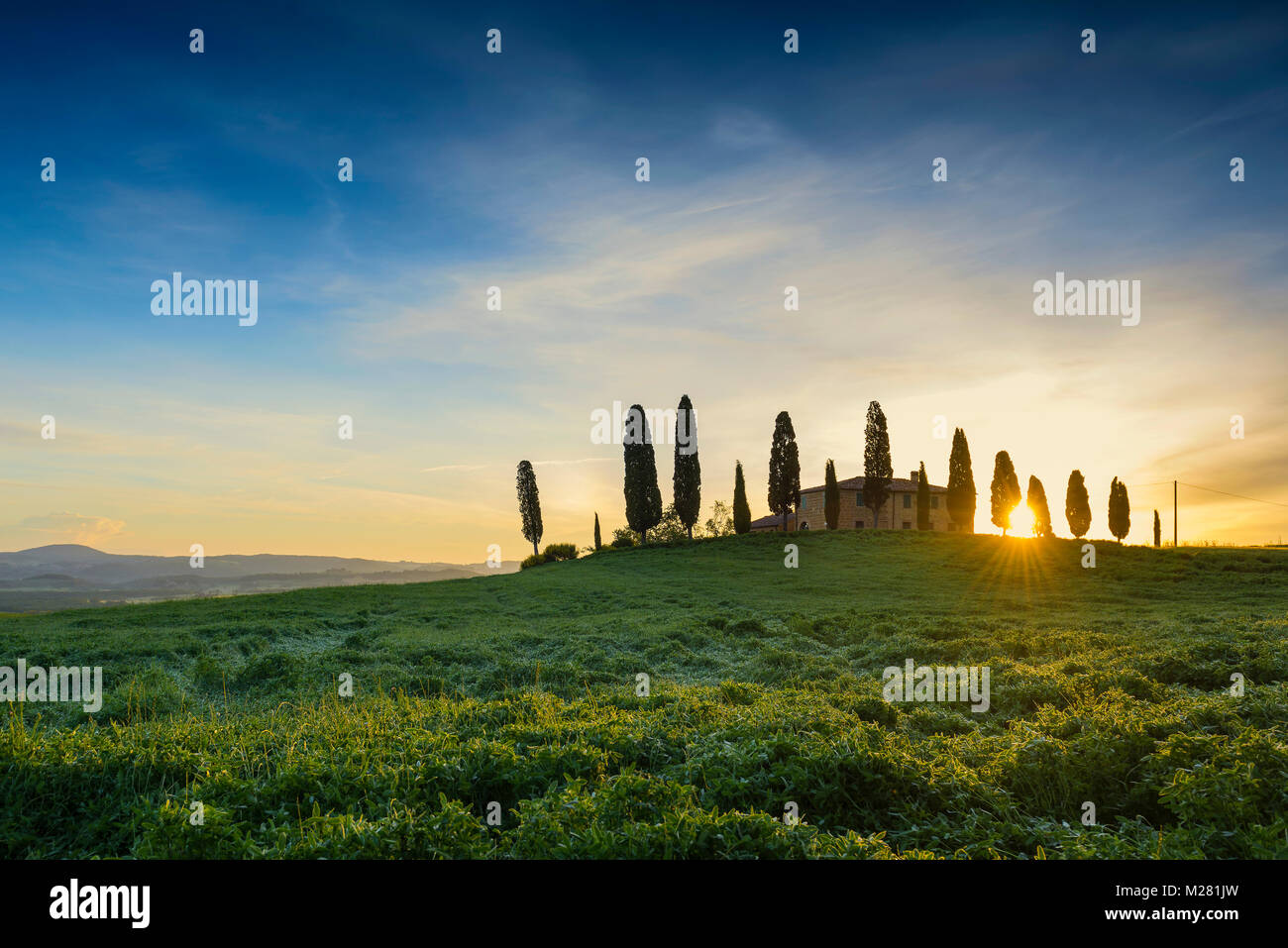 Toscana paesaggio con cipressi e cascina di sunrise, dawn, San Quirico d'Orcia, Val d'Orcia, Toscana, Italia Foto Stock