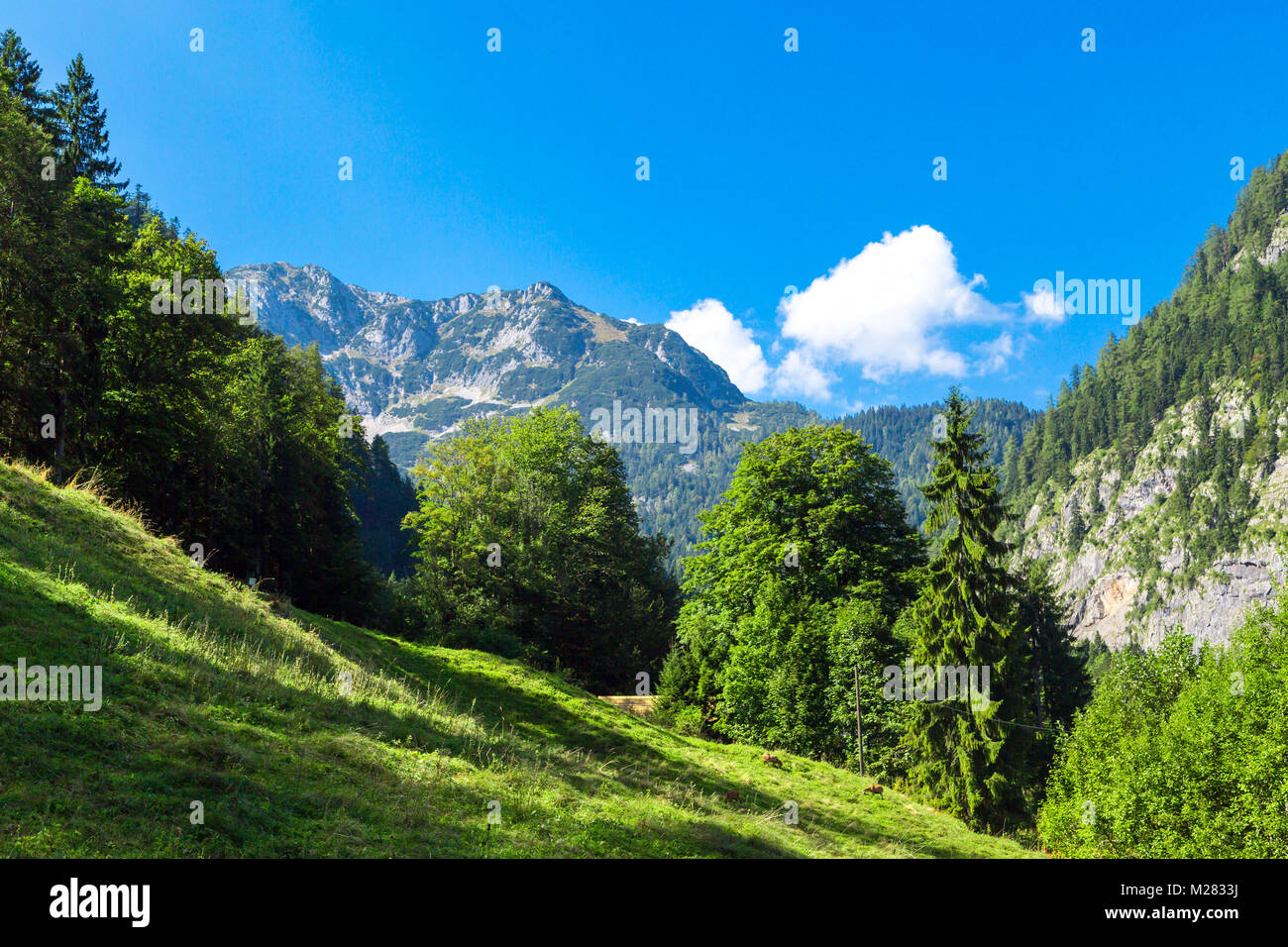 Alp vista montagne da Saslzberg (Montagna di sale) sopra touristic Hallstatt villaggio nella regione del Salzkammergut, Austria. Foto Stock