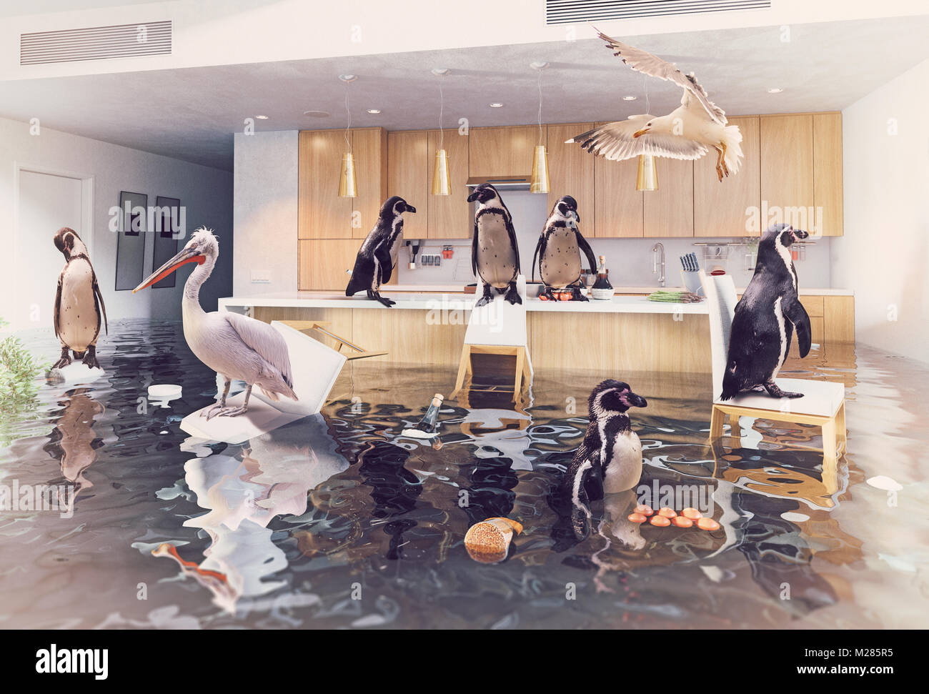 Ocean uccelli nella cucina di allagamento interno. Creative media mix concetto. Foto Stock