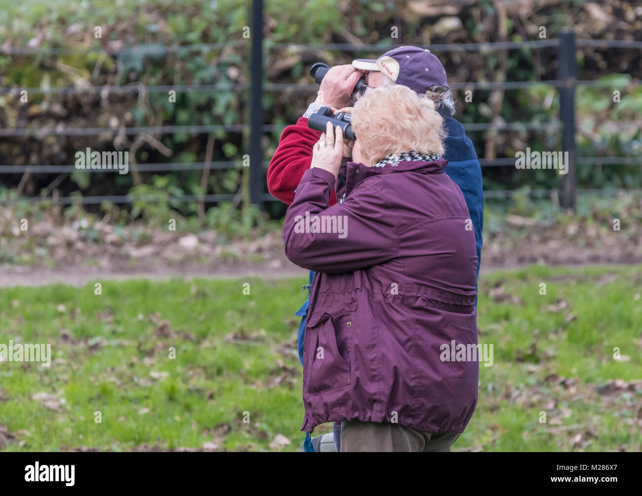 Coppia di anziani guardando attraverso il binocolo birdwatching in inverno in Inghilterra, Regno Unito. Foto Stock