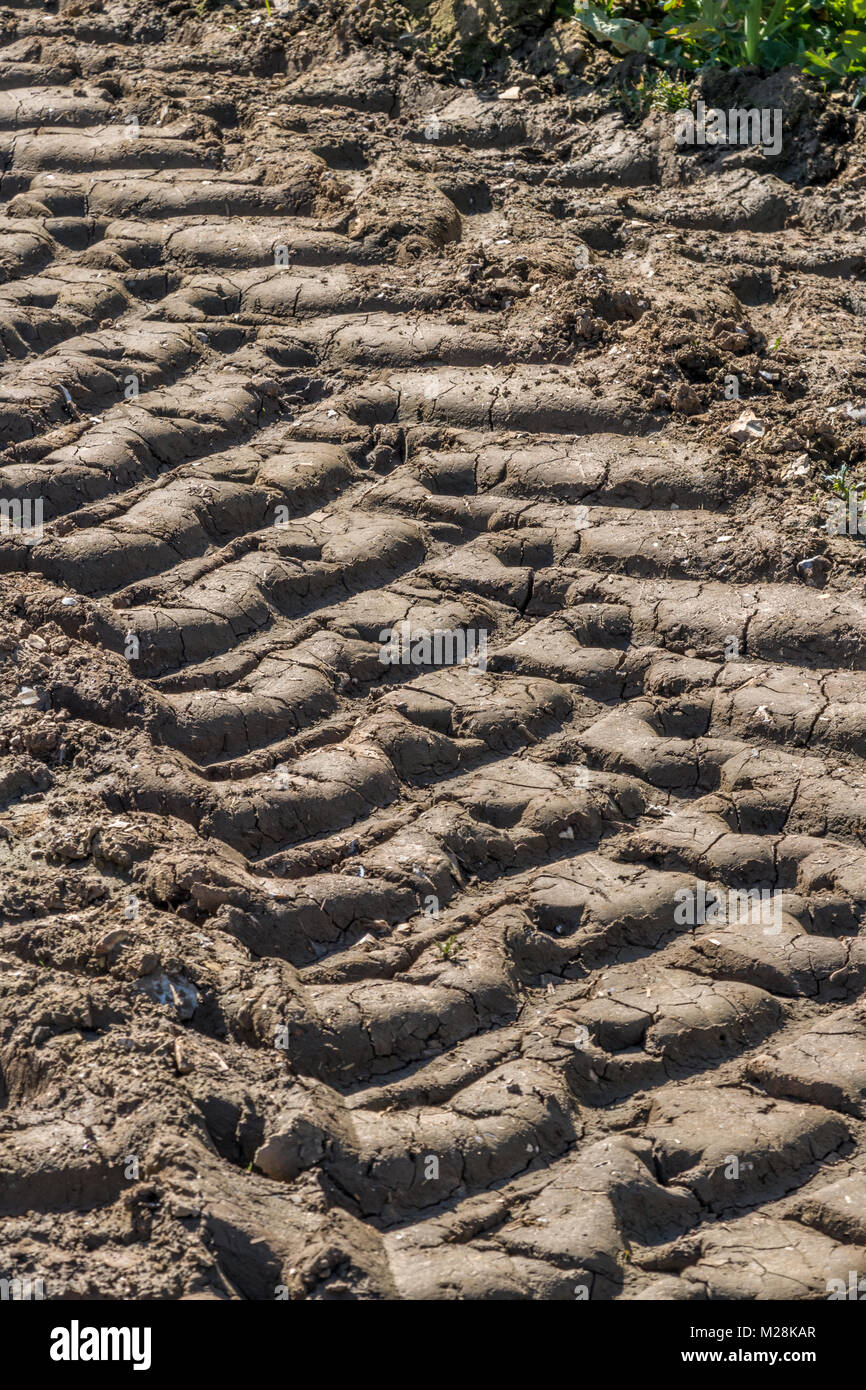 A Cranborne Chase Dorset Inghilterra 20 aprile 2016 impronta dei pneumatici del trattore in un campo. Foto Stock