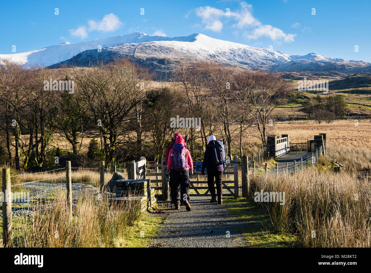 Gli escursionisti su Lôn Gwyrfai cycleway Sustrans ciclo nazionale route 61 bridleway percorso con vista nevato Snowdon d'inverno. Rhyd Ddu Snowdonia Wales UK Foto Stock