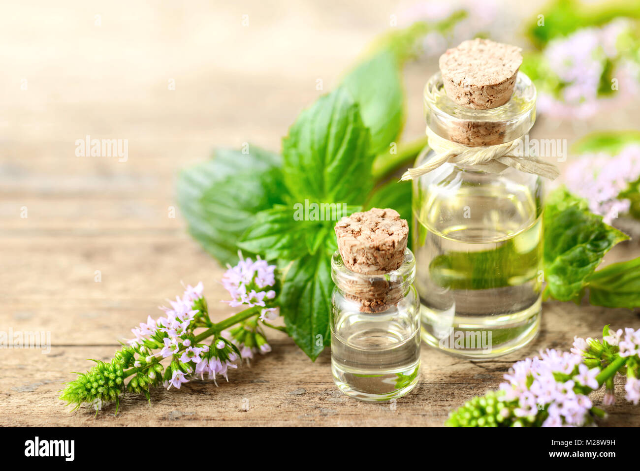 La menta piperita olio essenziale di menta piperita e fiori sulla tavola di legno Foto Stock