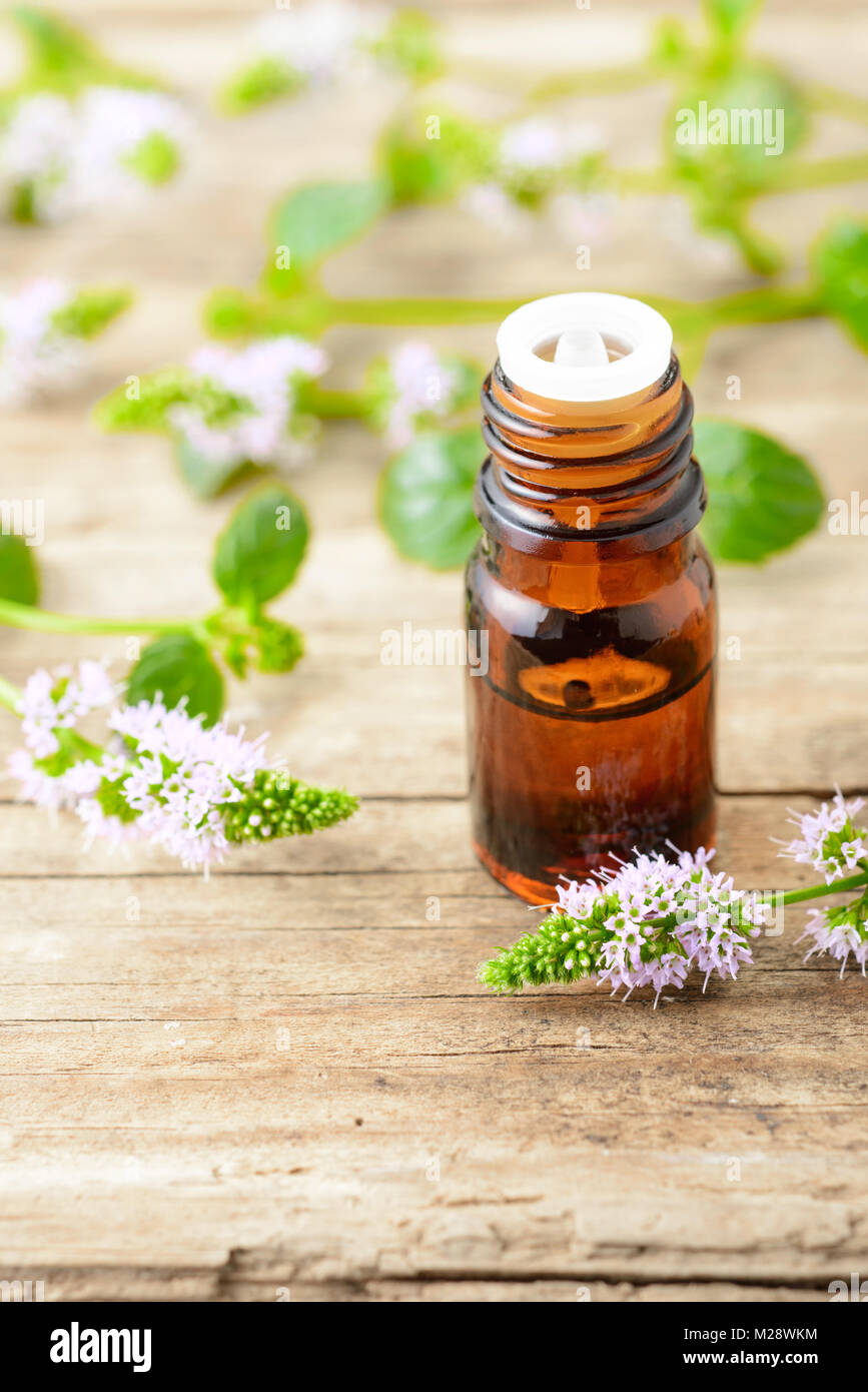 La menta piperita olio essenziale di menta piperita e fiori sulla tavola di legno Foto Stock