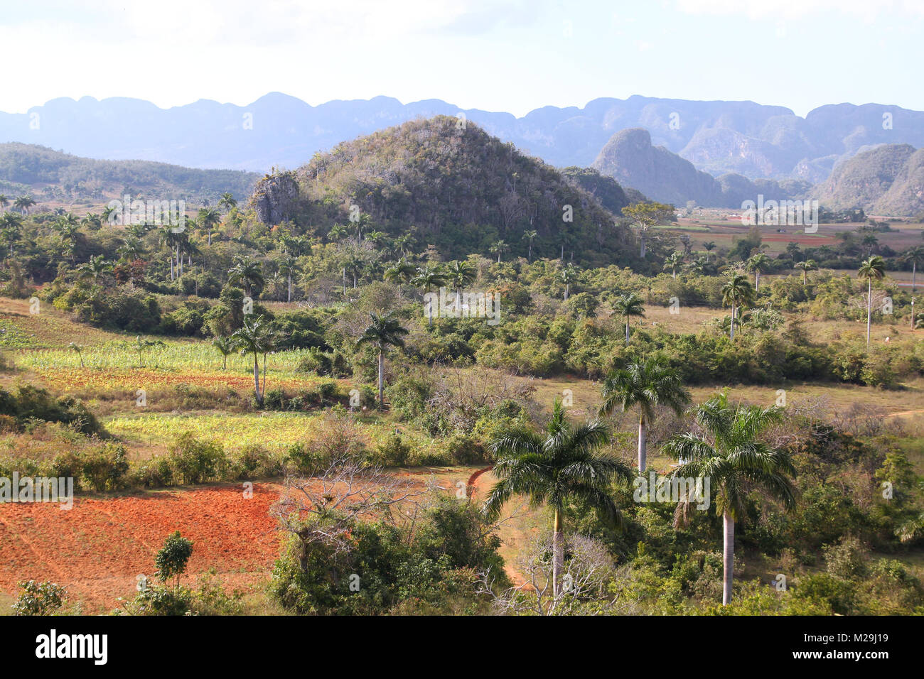 Cuba - famoso mogotes paesaggio carsico in Vinales Parco Nazionale. UNESCO - Sito Patrimonio dell'umanità. Foto Stock