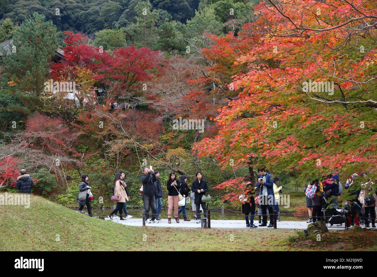 KYOTO, Giappone - 26 novembre 2016: la gente visita tempio Kodaiji giardini in Kyoto, Giappone. 19,7 milioni di turisti stranieri hanno visitato il Giappone nel 2015. Foto Stock
