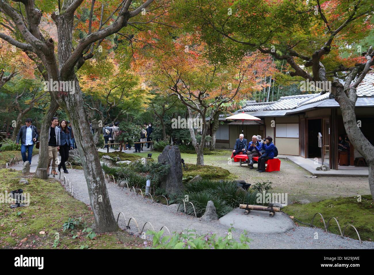 KYOTO, Giappone - 26 novembre 2016: la gente visita tempio Kodaiji giardini in Kyoto, Giappone. 19,7 milioni di turisti stranieri hanno visitato il Giappone nel 2015. Foto Stock