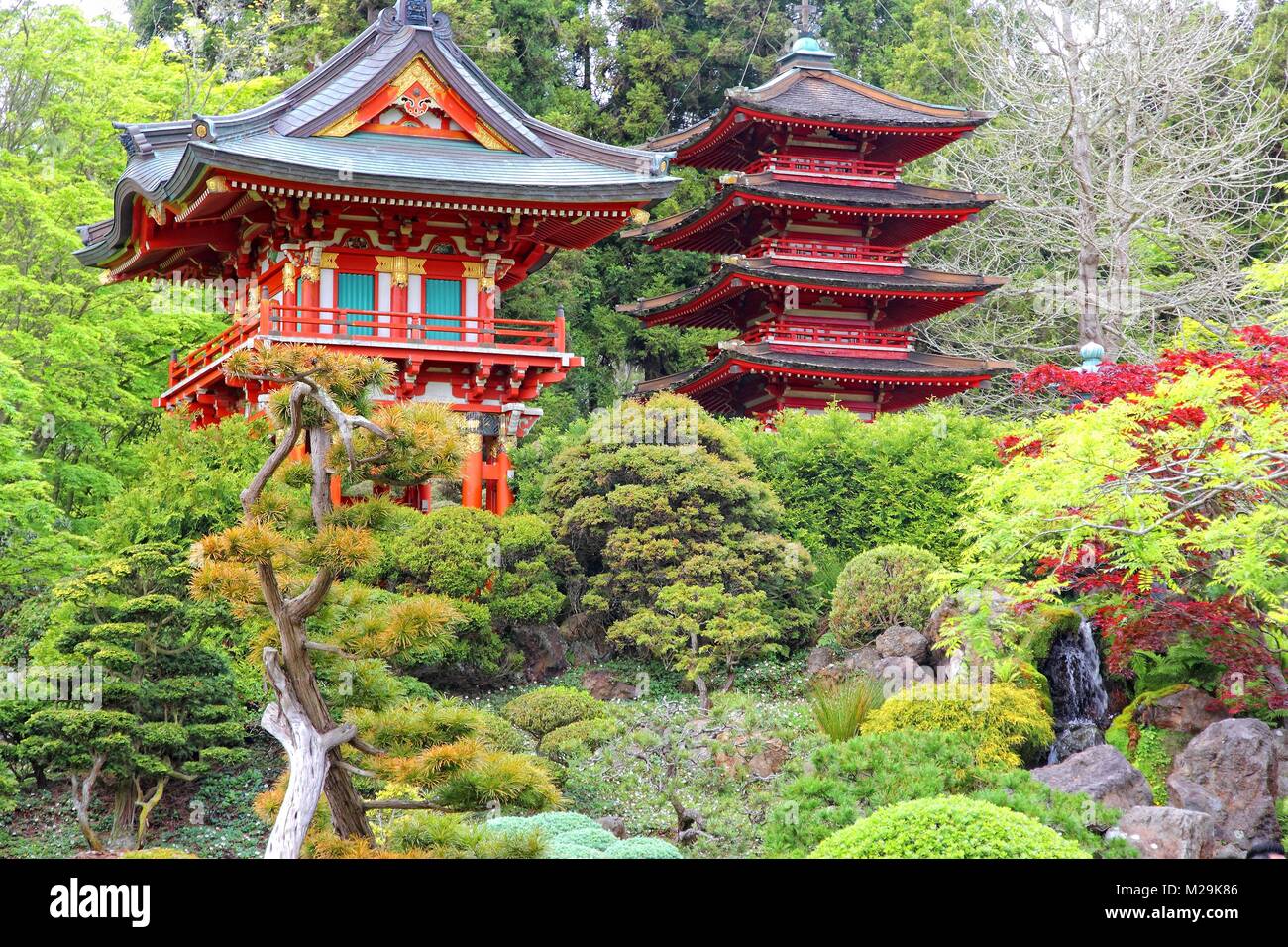 San Francisco, California, Stati Uniti - Giardino giapponese del tè in Golden Gate Park. Foto Stock