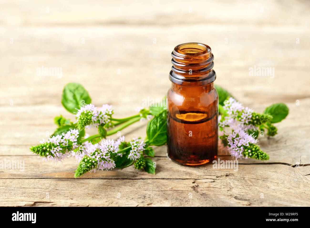 La menta piperita olio essenziale di menta piperita e fiori sulla tavola di legno Foto Stock