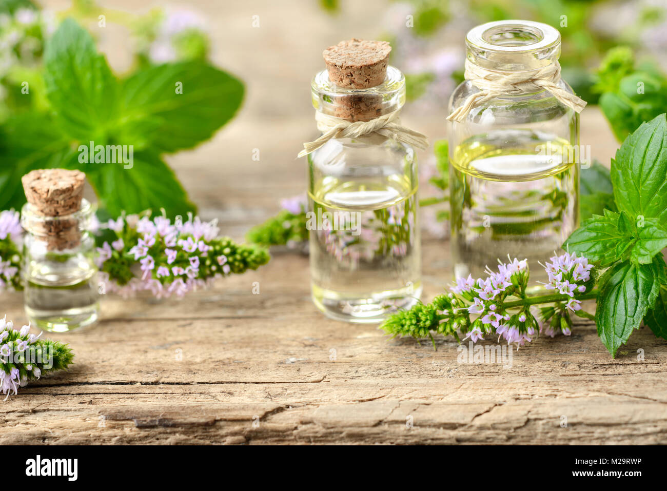 La menta piperita olio essenziale di menta piperita e fiori sulla tavola di legno Foto Stock
