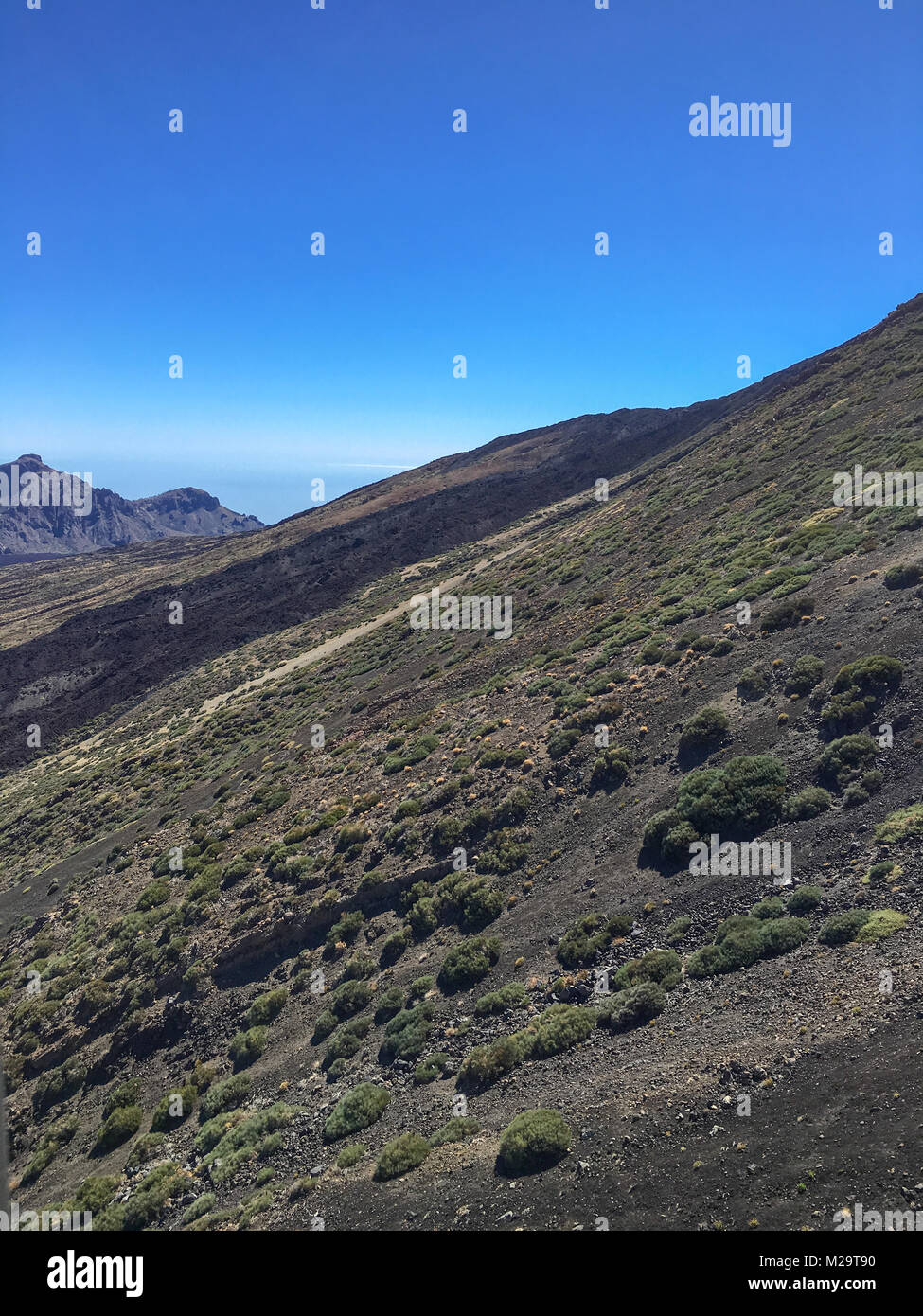 Ghiaioni e boccole sul pendio del vulcano Teide Foto Stock