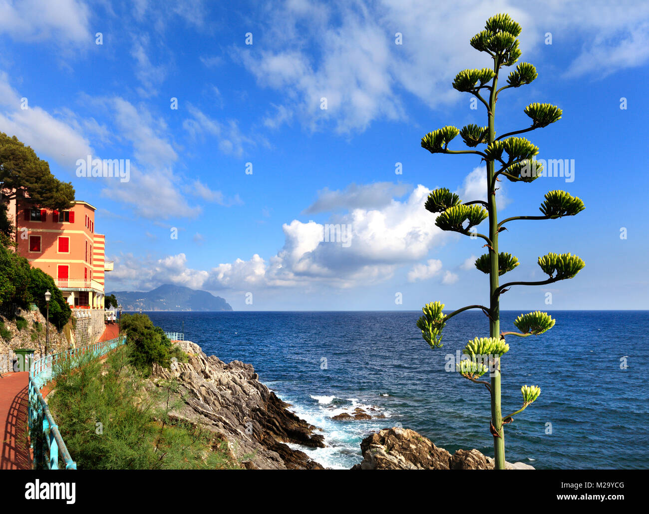 Genova, Liguria Shore / Italia - 2012/07/06: Nervi riva di Genova - Passeggiata Anita Garibaldi passaggio panoramico con vista sulla costa rocciosa Foto Stock