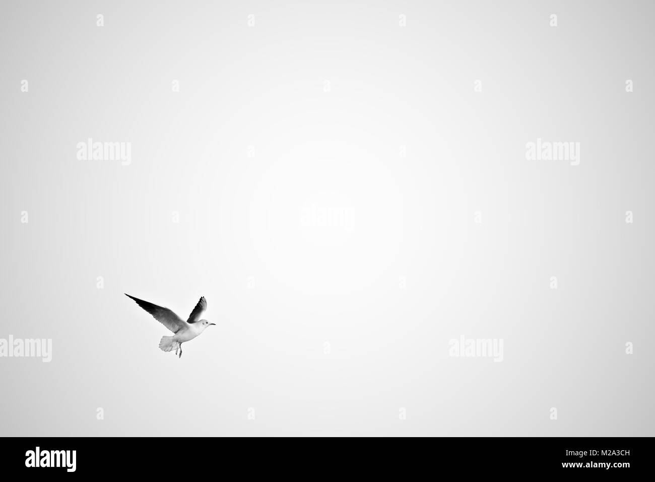 separazione Foto Stock