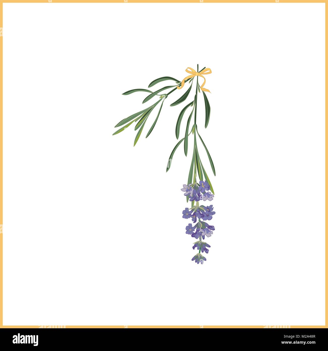 La cifra 1 monogramma. Insegna retrò alfabeto con fiori di lavanda iniziale. Stile acquarello, illustrazione botanica isolato su bianco. Vintage font vettoriali ty Illustrazione Vettoriale