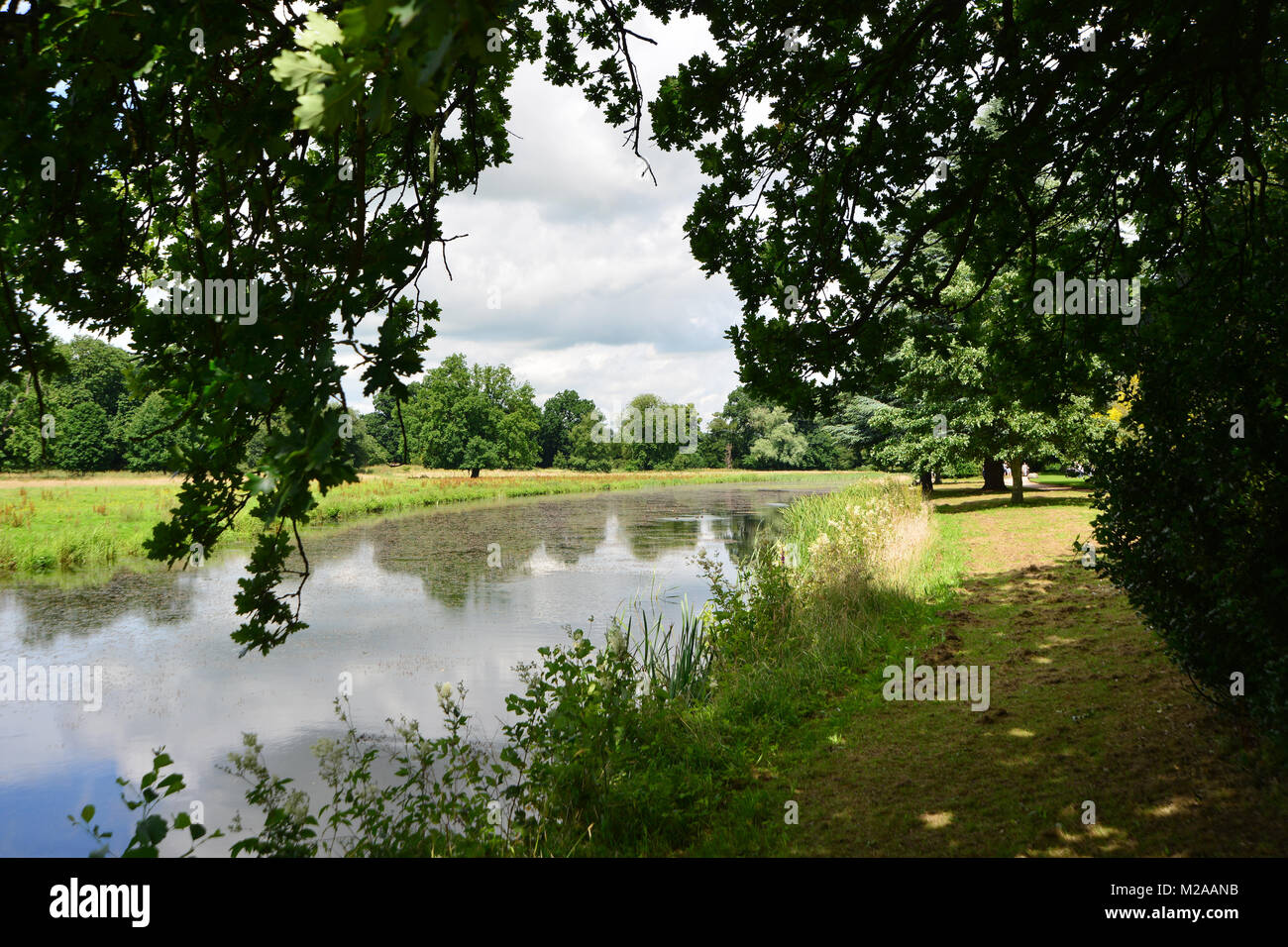 Accanto al fiume, bellezza, Inghilterra, la flora e la fauna, Gran Bretagna, patrimonio, paesaggi rurali, West Midlands, fiume, Riverside, appeso sopra gli alberi, Foto Stock