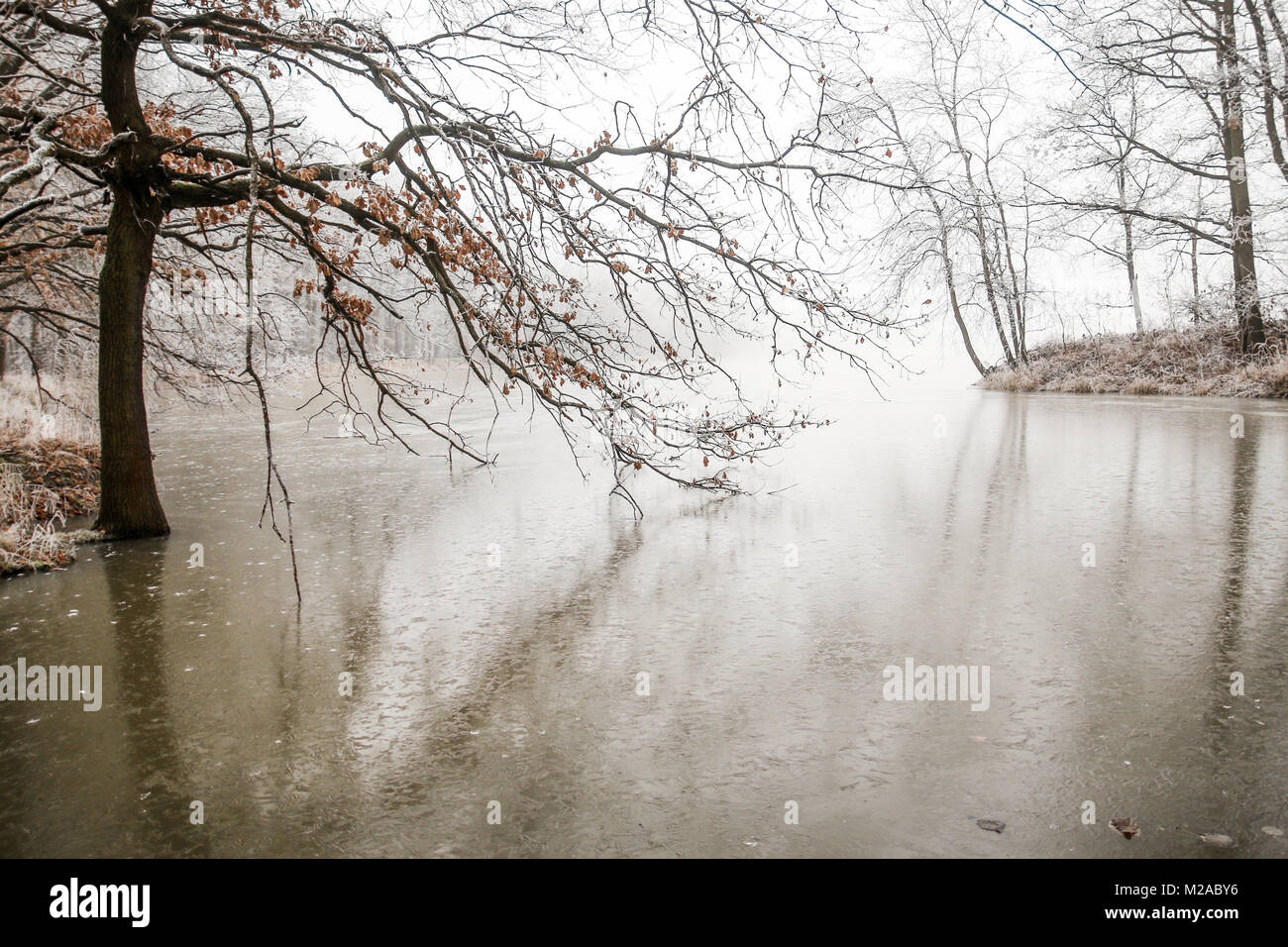 Una foto da lo stagno in Repubblica Ceca durante l'inizio dell'inverno. Foto Stock