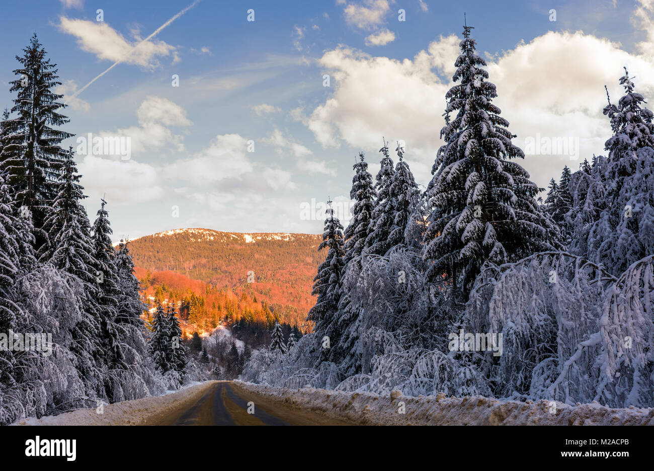 Strada in inverno bosco di abete rosso. bellissimo paesaggio naturale nelle montagne di sera Foto Stock