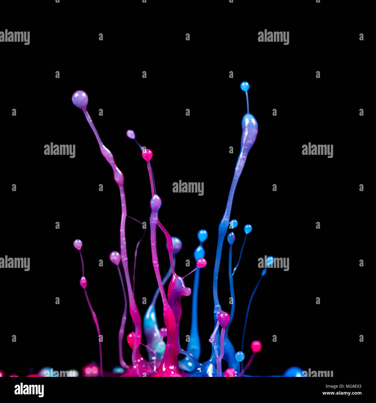 Esplosione di spruzzi e di burst di fluido di colore vernice o inchiostro su uno sfondo nero Foto Stock