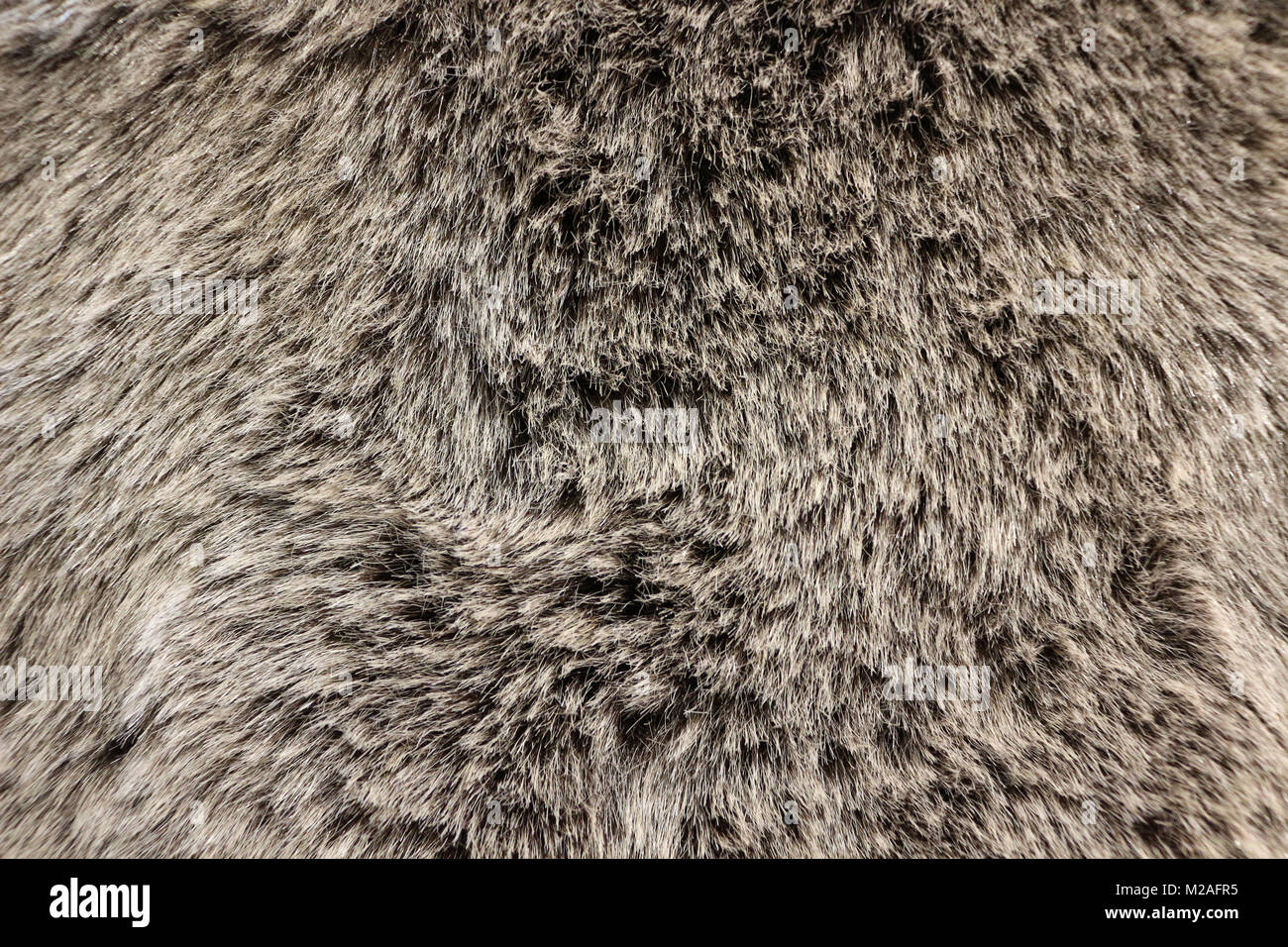 Con fodera in pelliccia sintetica Texture Foto stock - Alamy