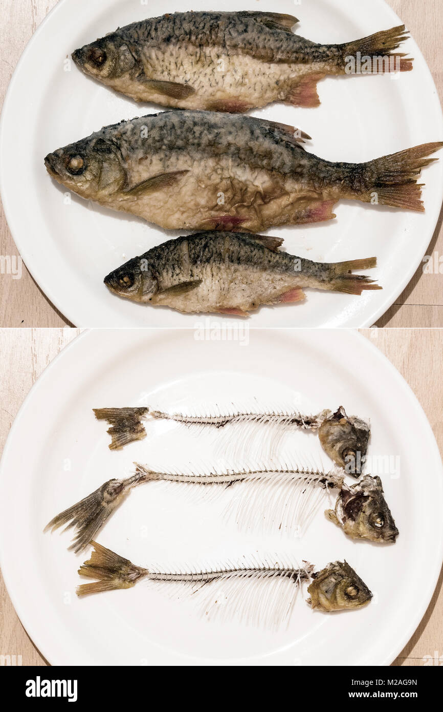 Il pesce è complesso e il pesce consumato Foto Stock