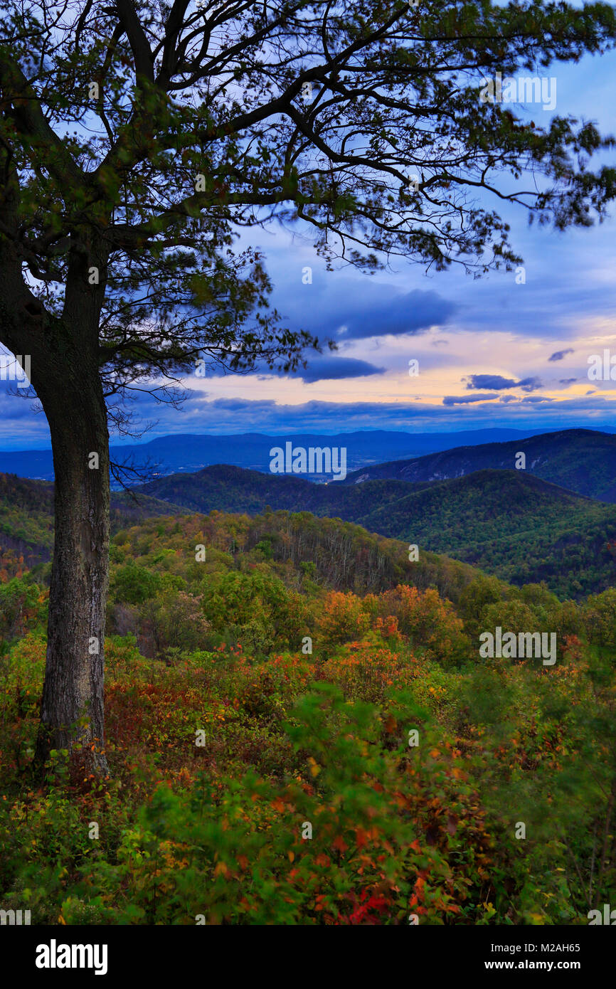 Sunrise, Marrone Montagna, si affacciano, Parco Nazionale di Shenandoah, Virginia, Stati Uniti d'America Foto Stock