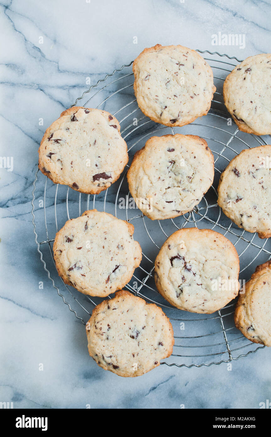 Tettuccio di colpo di tradizionale cucina Americana in casa i biscotti al cioccolato con cioccolato semidolce pezzetti dolce da forno sul filo di un raffreddamento per rack sul mar Foto Stock