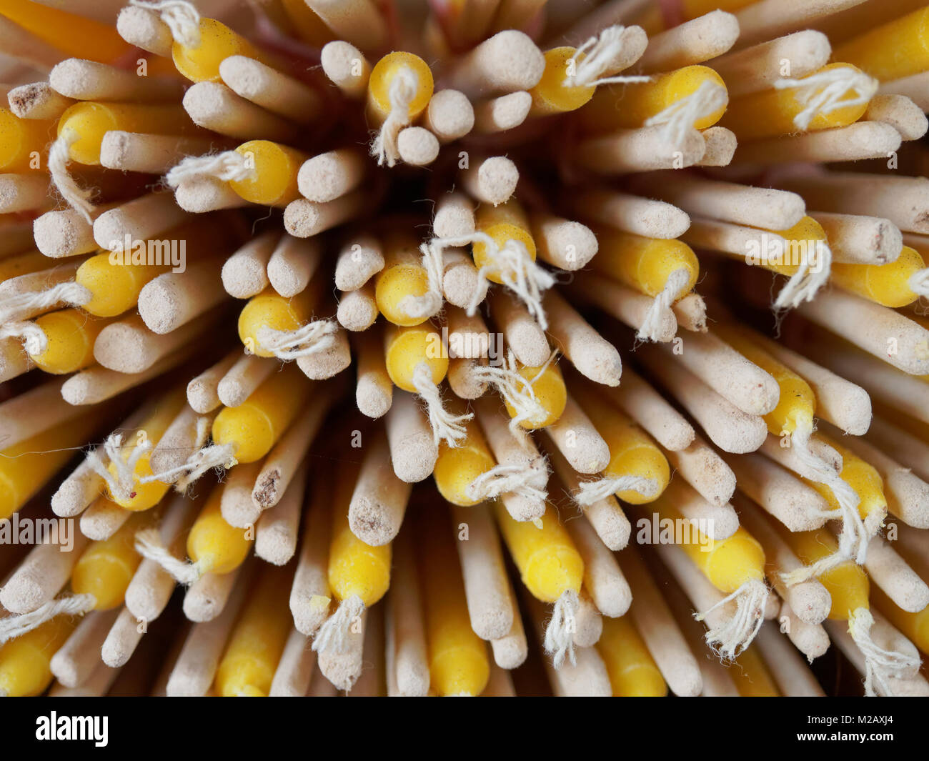 Close up di pelo di stick di incenso e candela preparata per il culto di Buddha nel tempio Foto Stock
