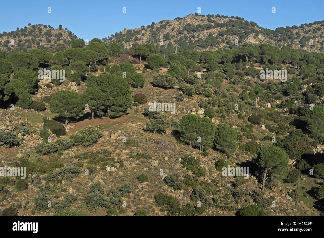 Vista su leggermente boscoso pendio roccioso Parque Natural Sierra de Andujar, Jaen, Spagna gennaio Foto Stock