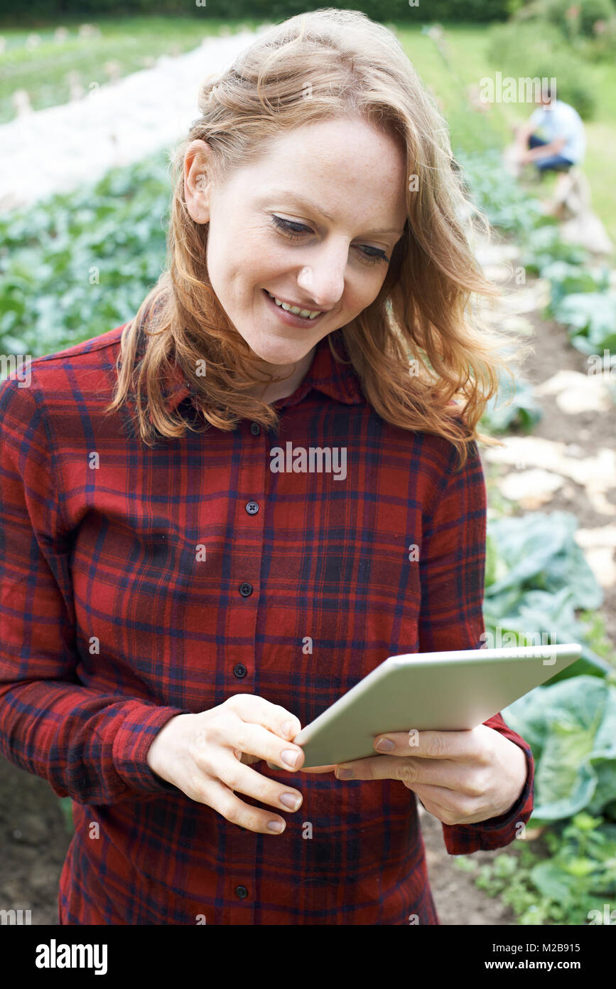 Femmina lavoratore agricolo utilizzando tavoletta digitale nel campo Foto Stock