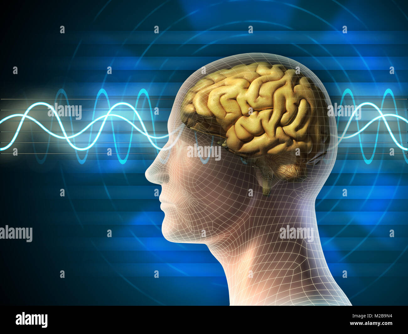 Testa umana e del cervello. Diversi tipi di forme d'onda prodotta dal cervello attività mostrata sullo sfondo. Illustrazione Digitale. Foto Stock