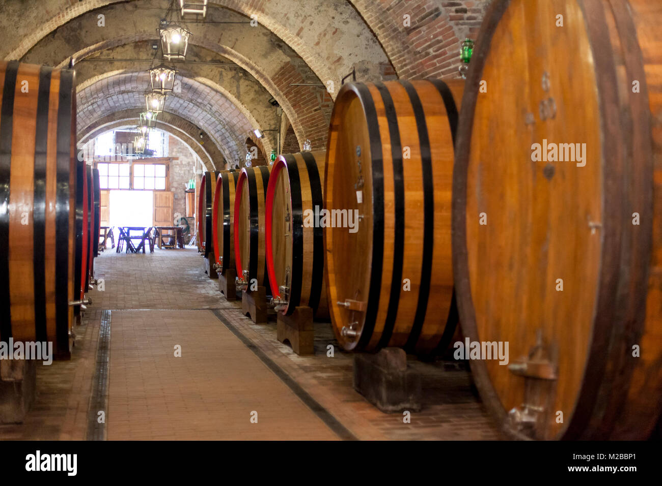 Cantina con botti da vino,Montepulciano,Toscana,Italia Foto Stock