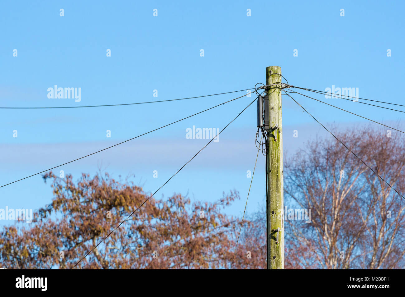 La parte superiore di un palo telefonico con le linee telefoniche collegate in una zona residenziale, Dorset, Regno Unito Foto Stock
