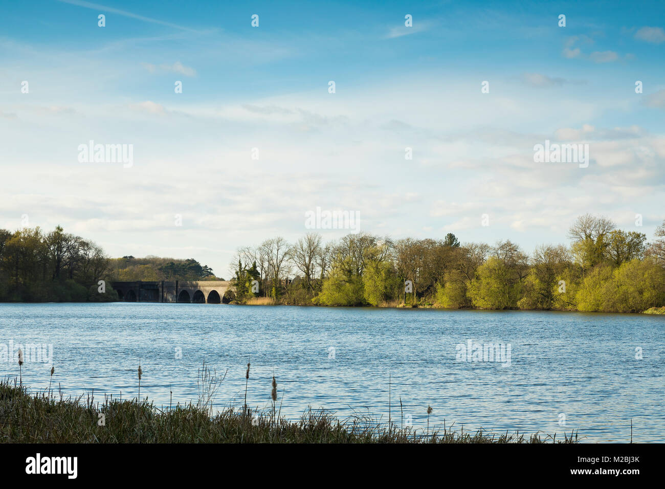 L' immagine di un viadotto ferroviario attraverso Swithland acqua, Leicestershire, Inghilterra, Regno Unito. Foto Stock
