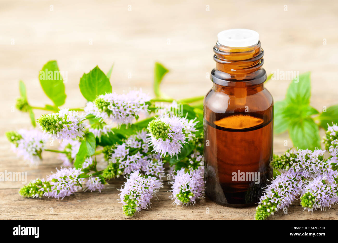 Viola freschi Fiori di menta piperita e menta piperita olio essenziale sul tavolo di legno Foto Stock