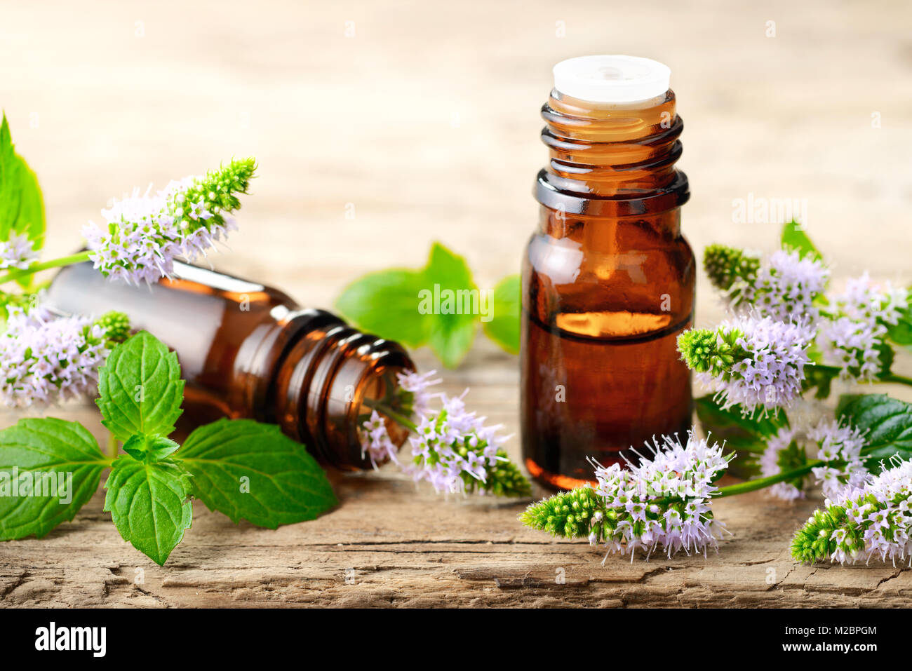 Viola freschi Fiori di menta piperita e menta piperita olio essenziale sul tavolo di legno Foto Stock