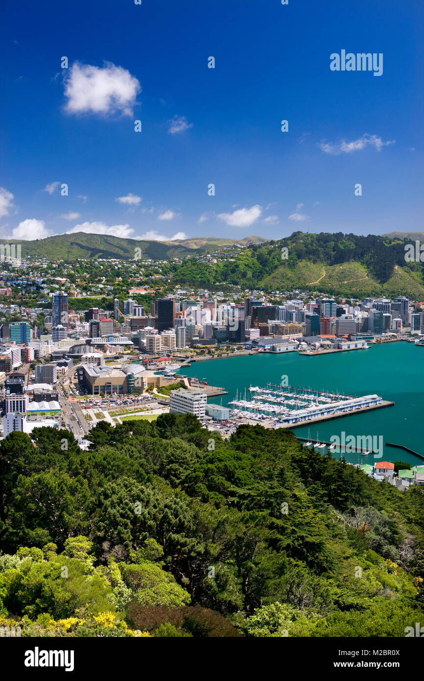 Nuova Zelanda, Isola del nord, Wellington, vista panoramica sulla città e sul porto. Foto Stock