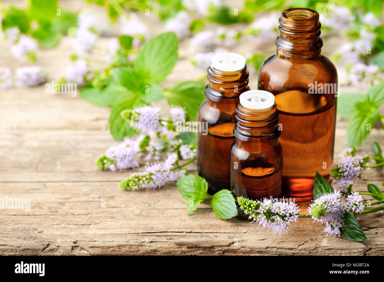 Viola freschi Fiori di menta piperita e menta piperita olio essenziale sul tavolo di legno Foto Stock