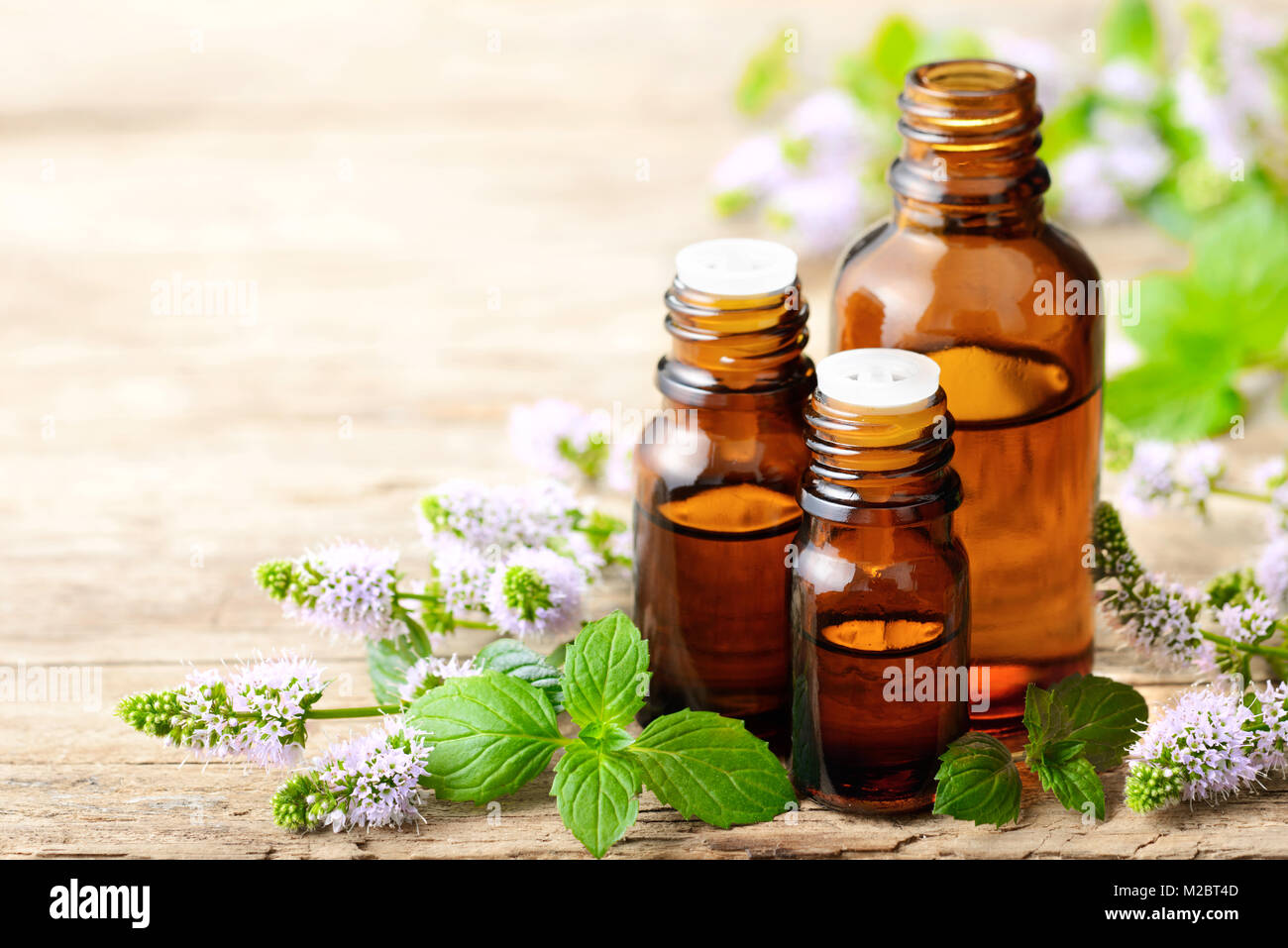 Viola freschi Fiori di menta piperita e menta piperita olio essenziale sul tavolo di legno Foto Stock
