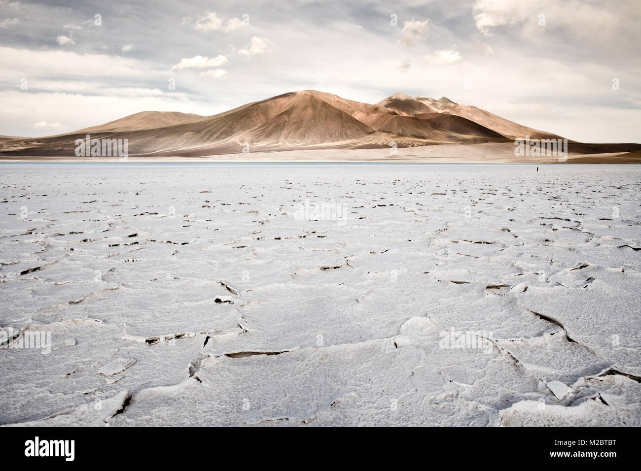 Crosta di sale in riva della laguna e salt lake Tuyajto, Altiplano (alto altopiano andino), los Flamencos riserva nazionale, il deserto di Atacama, Antofagasta Foto Stock