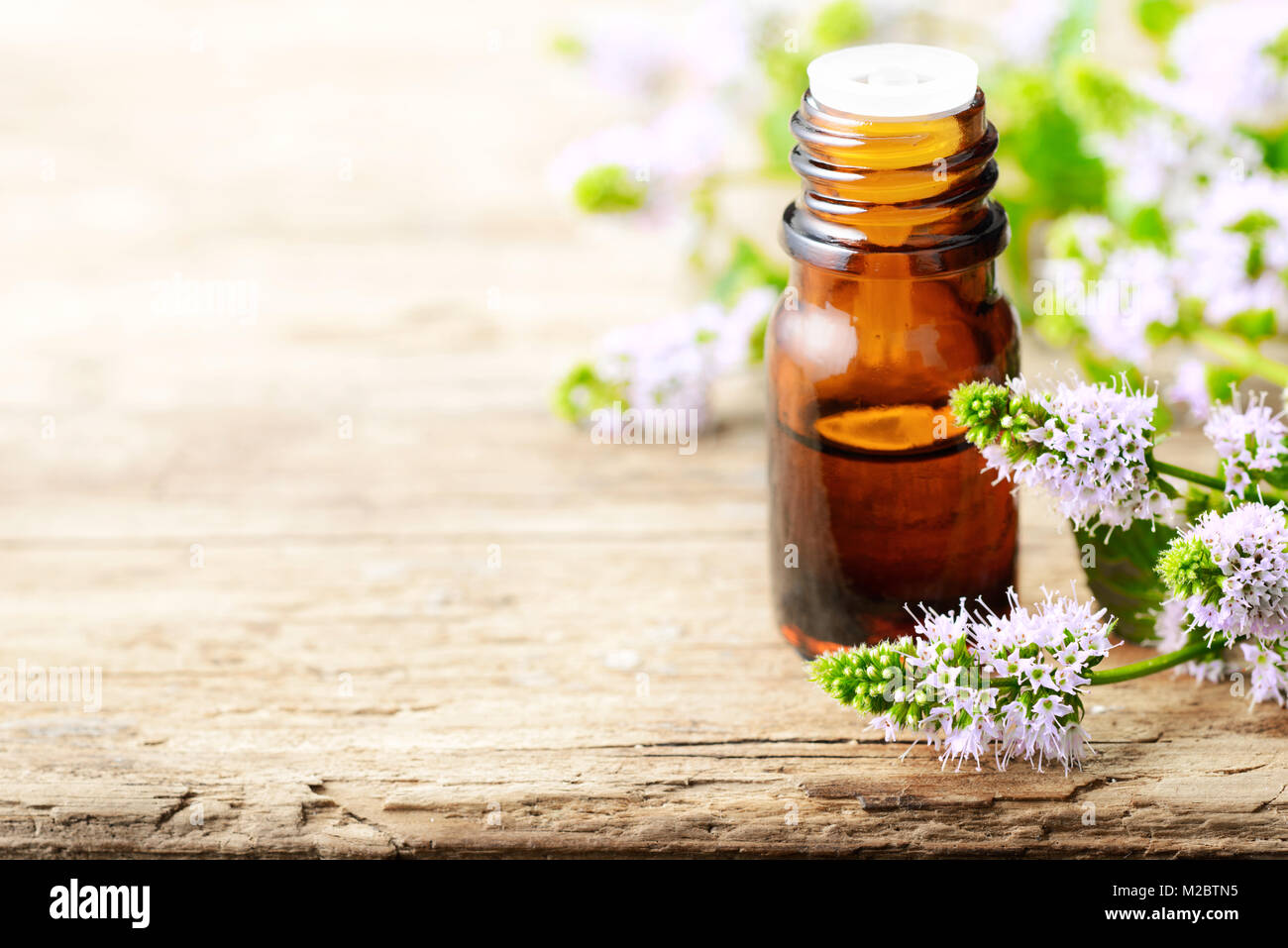 Viola freschi Fiori di menta piperita e menta piperita olio essenziale sul tavolo di legno Foto Stock