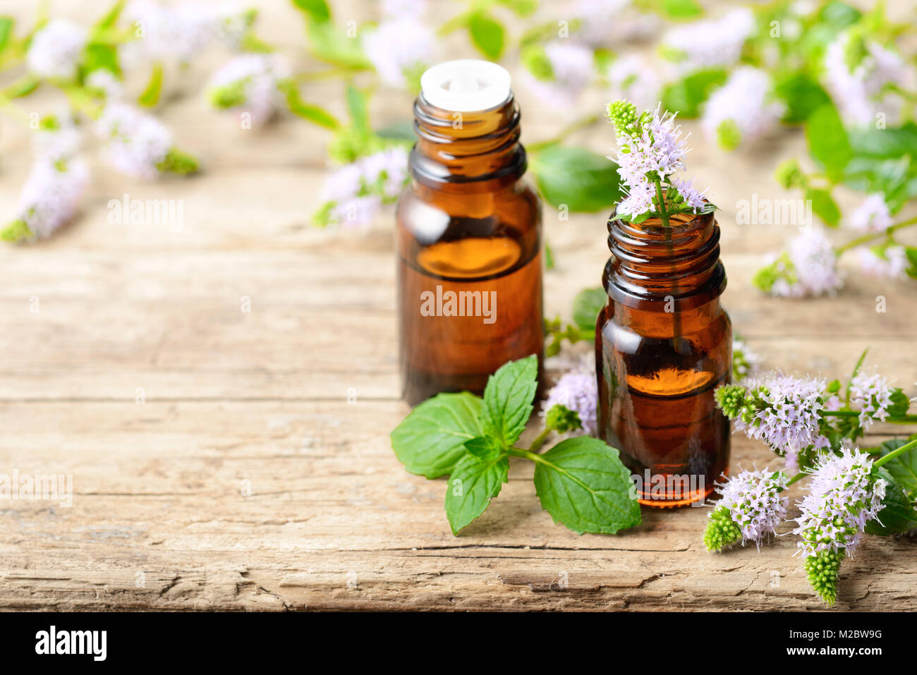 Viola freschi Fiori di menta piperita e menta piperita olio essenziale sul tavolo di legno Foto Stock