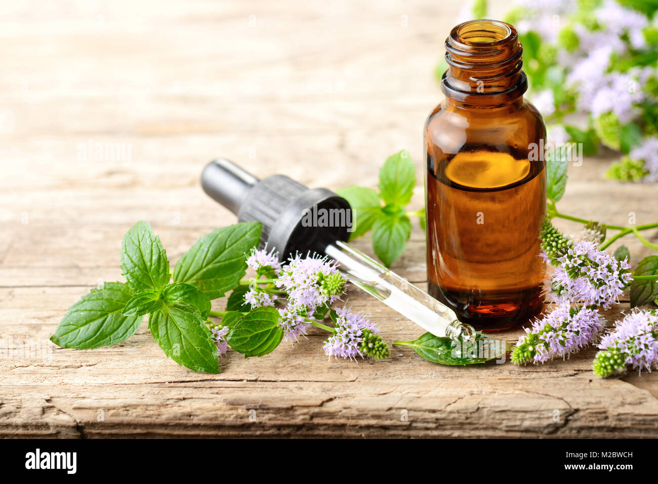 Viola freschi Fiori di menta piperita e menta piperita olio essenziale sul tavolo di legno Foto Stock