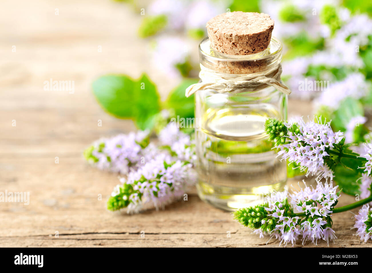 Viola freschi Fiori di menta piperita e menta piperita olio essenziale sul tavolo di legno Foto Stock