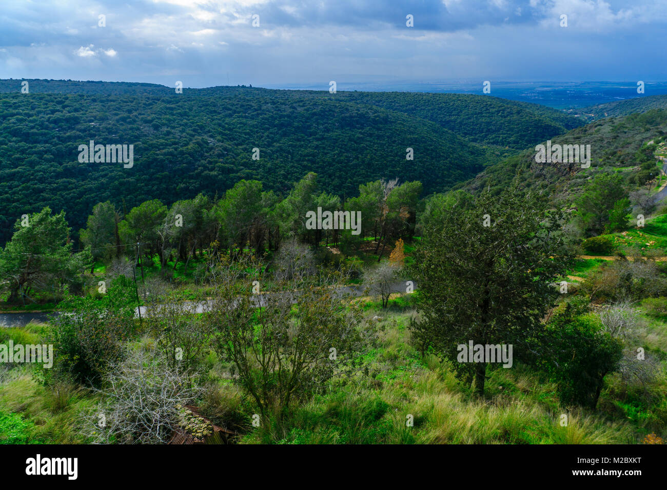 Paesaggio di Yehiam flusso nella western Galilea superiore, nel nord di Israele Foto Stock