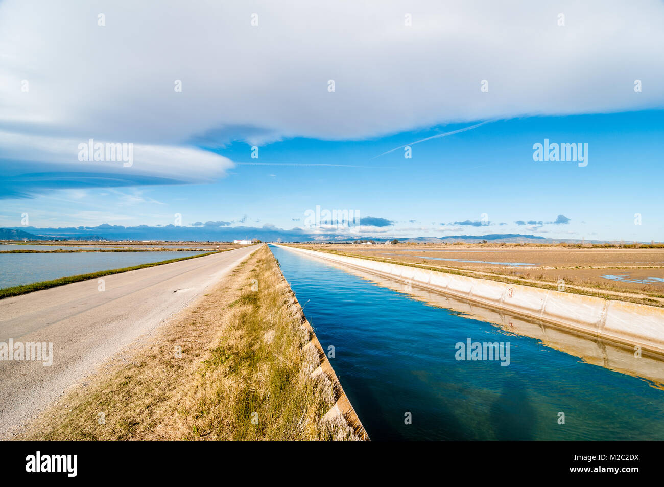 Canale di irrigazione accanto alla strada e i campi di riso, il delta del fiume Ebro, Catalogna, Spagna Foto Stock