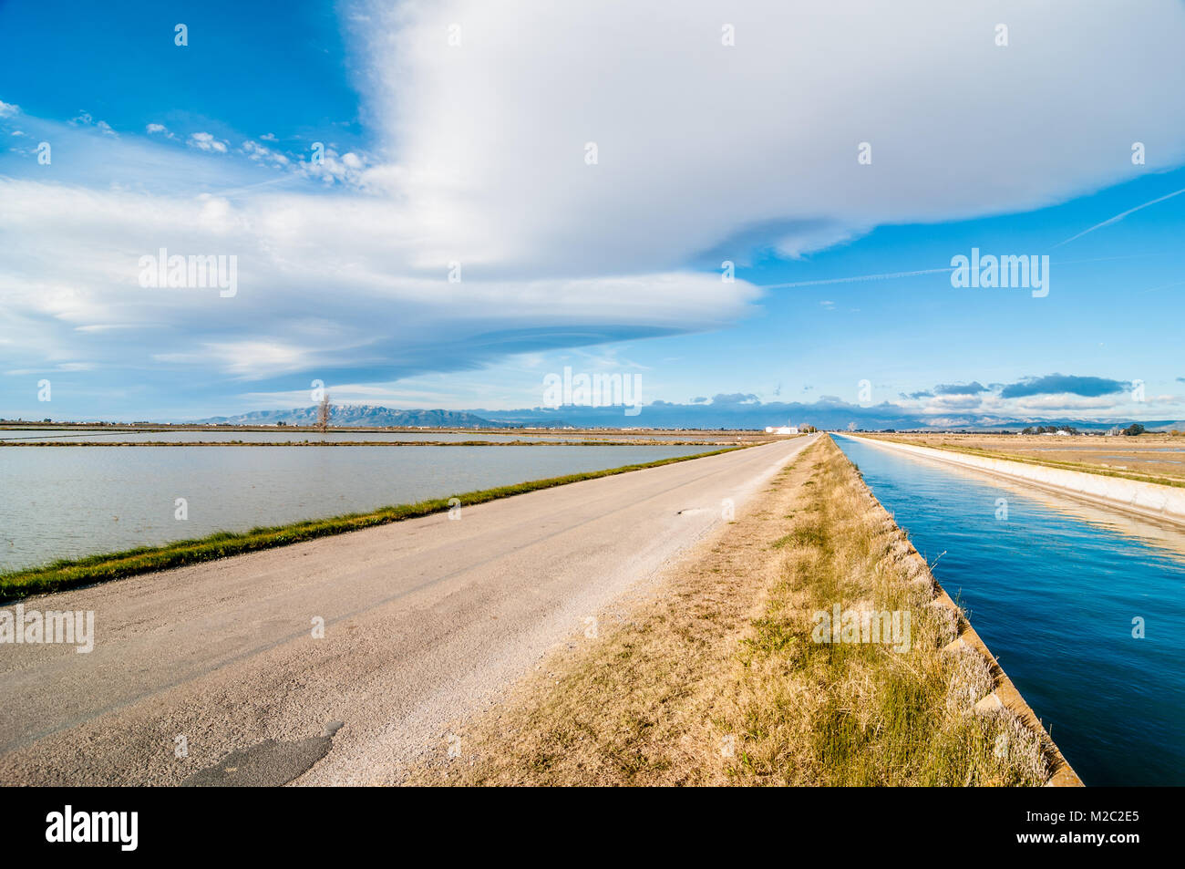 Canale di irrigazione accanto alla strada e i campi di riso, il delta del fiume Ebro, Catalogna, Spagna Foto Stock
