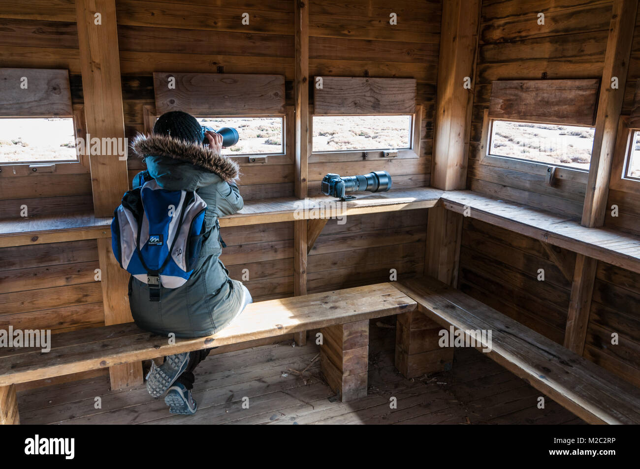 Donna con un binocolo guardando fuori in un bird watching tower, il delta del fiume Ebro, Catalogna, Spagna Foto Stock