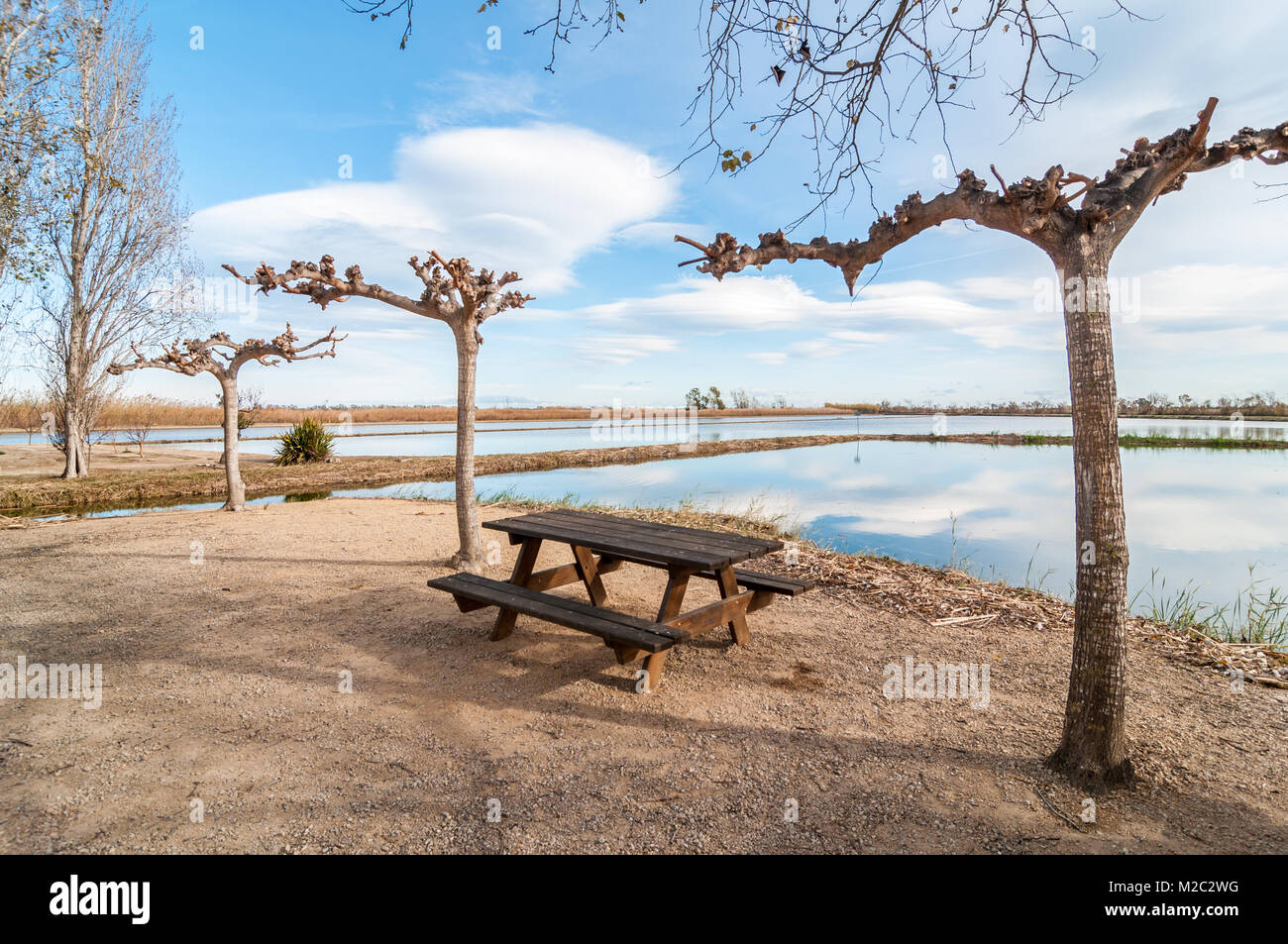 Area picnic accanto a un invaso campo di riso, Delta de l'Ebre, Catalogna, Spagna Foto Stock