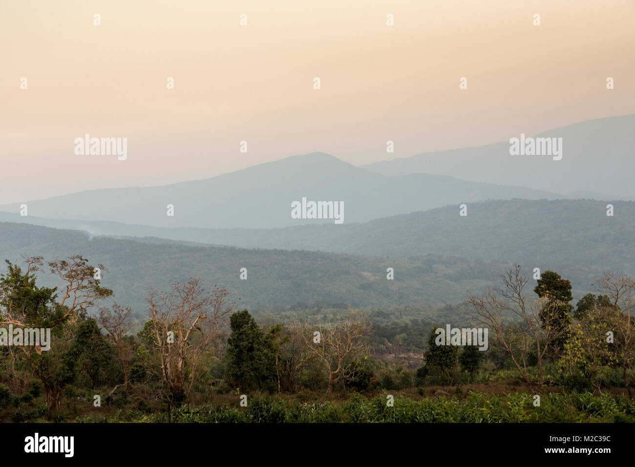 Saipung riservati foresta, East Jaintia Hills, Meghalaya, India Foto Stock