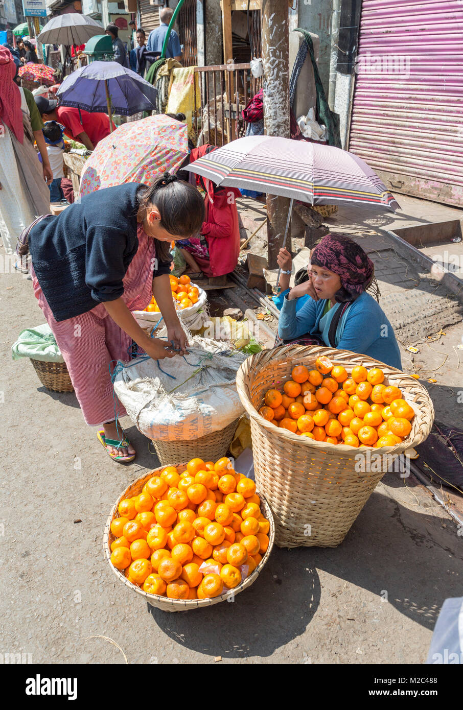 Donna vendita di arance a lato della strada, Shillong, Meghalaya, India Foto Stock